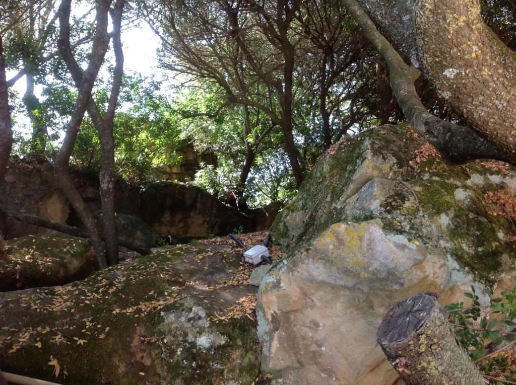 Agriturismo Il Paradiso Iglesias Exteriér fotografie