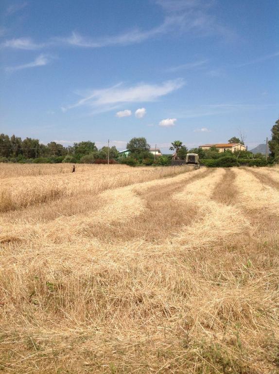 Agriturismo Il Paradiso Iglesias Exteriér fotografie