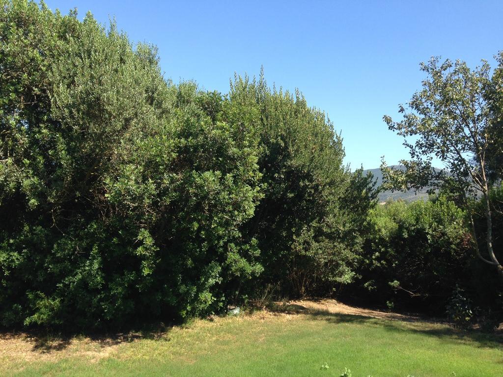 Agriturismo Il Paradiso Iglesias Exteriér fotografie