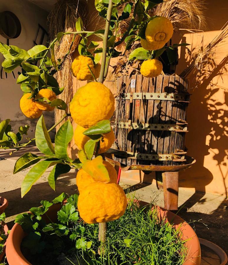 Agriturismo Il Paradiso Iglesias Exteriér fotografie